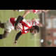 image 31 of 61